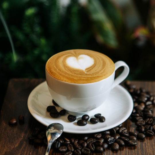 CAPUCHINO
