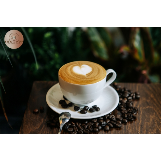 CAPUCHINO