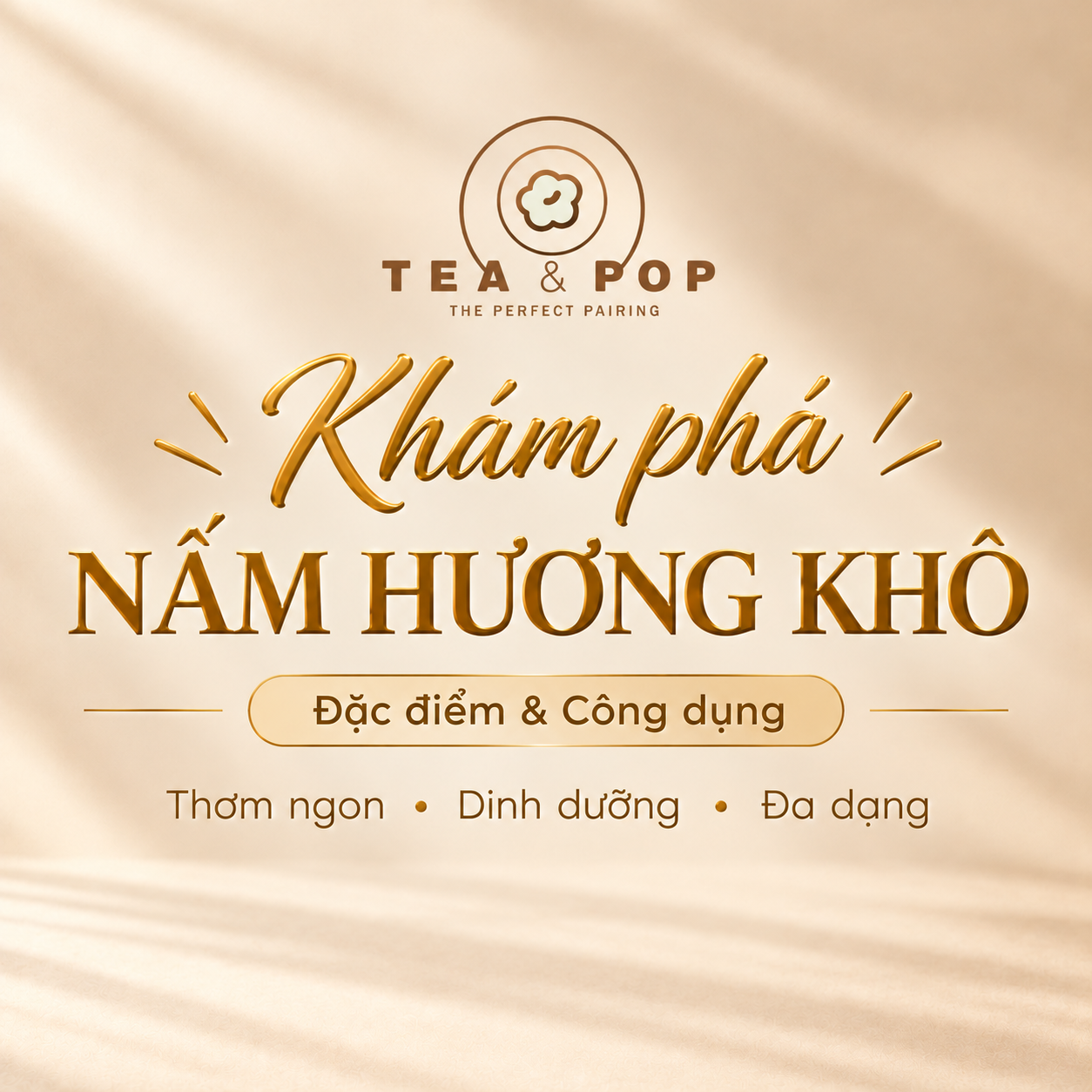 Nấm hương khô là gì
