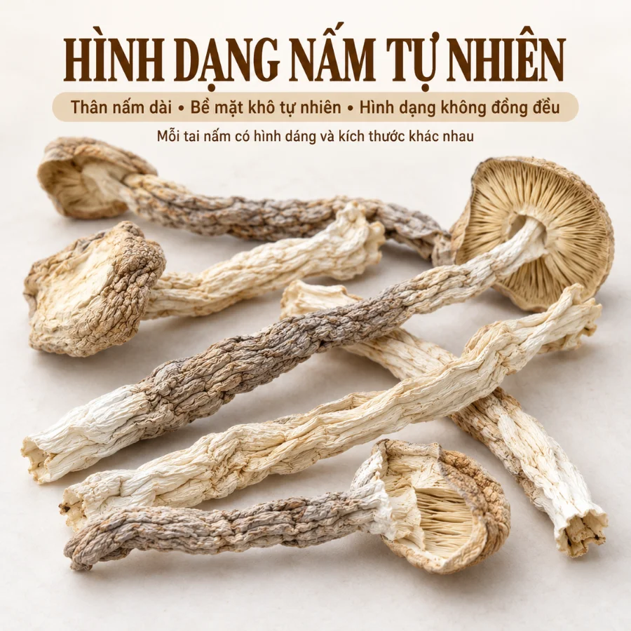 Nấm lộc nhung khô Casabella Grains (2)
